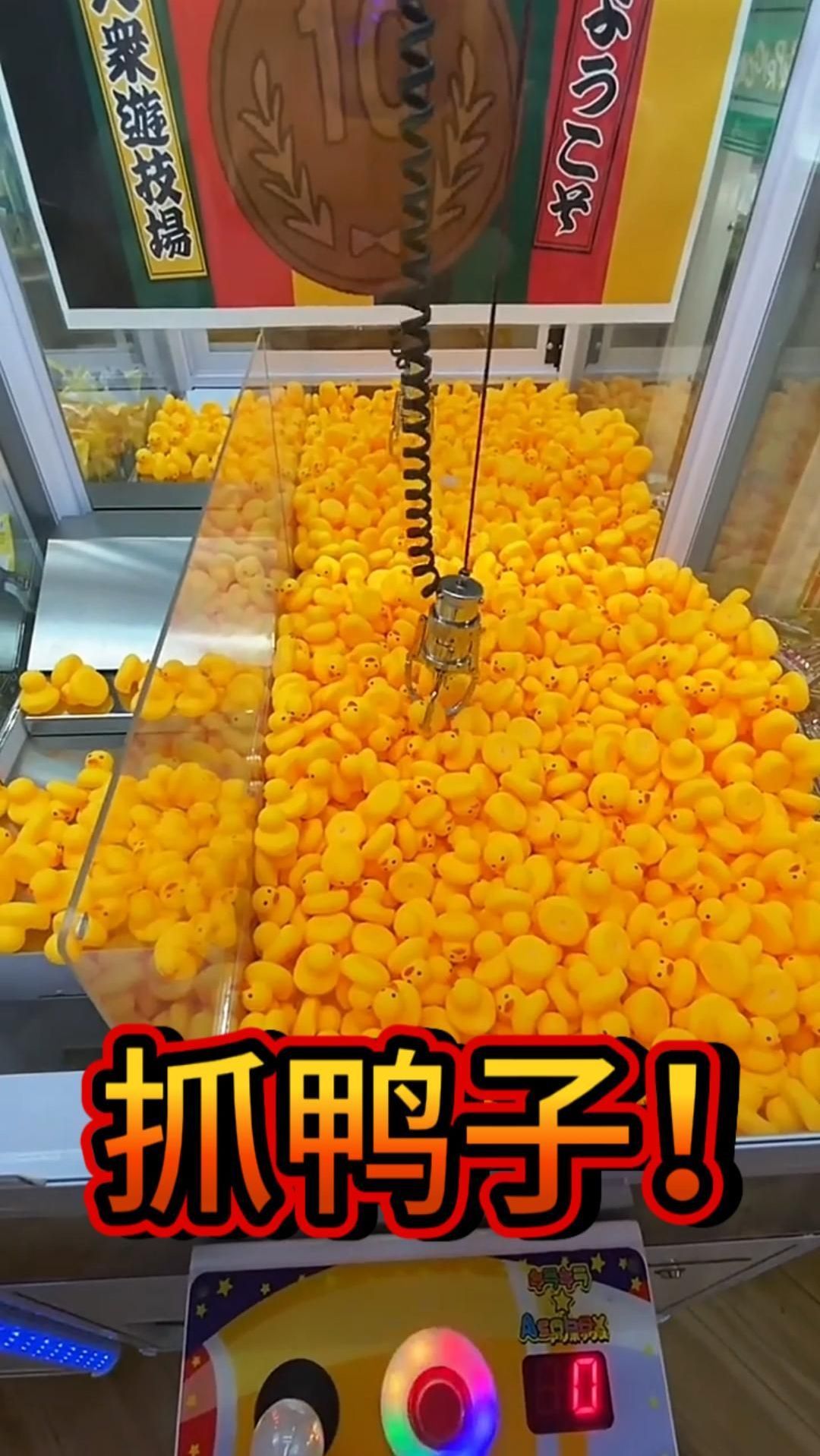 娃娃机里抓鸭子!误闯进鸭子群!救我啊