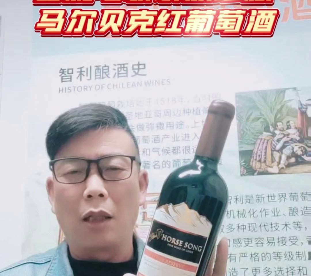 智利马歌红酒,马尔贝克珍藏佳酿