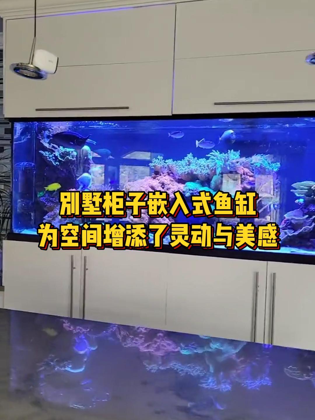 别墅柜子嵌入式鱼缸,为空间增添了灵动与美感