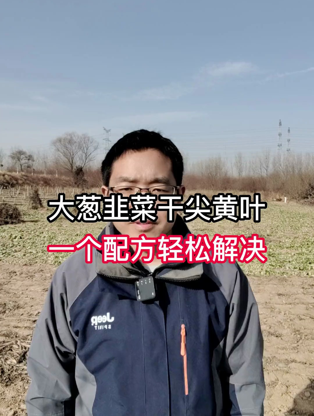 大蒜干尖黄叶,大葱,韭菜干尖黄叶,一个配方轻松解决