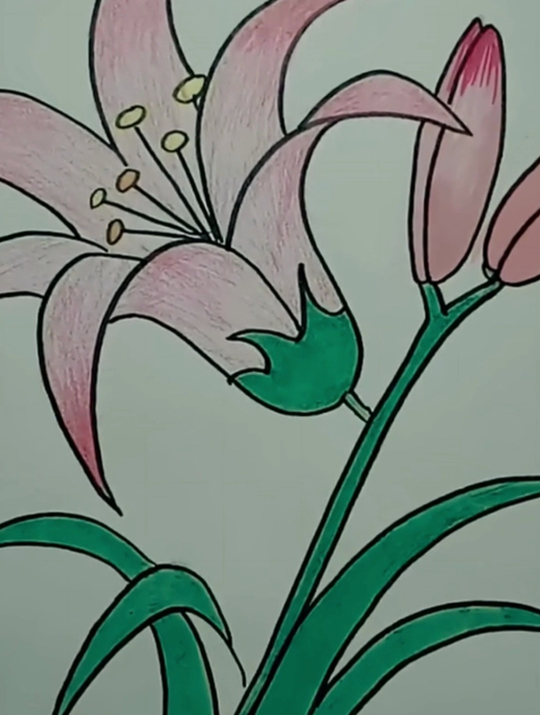 美丽的花朵简笔画