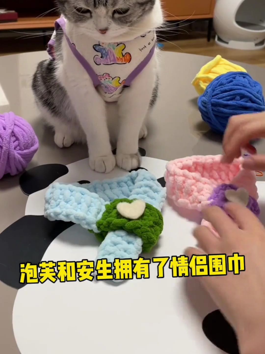 泡芙和安生拥有了情侣围巾