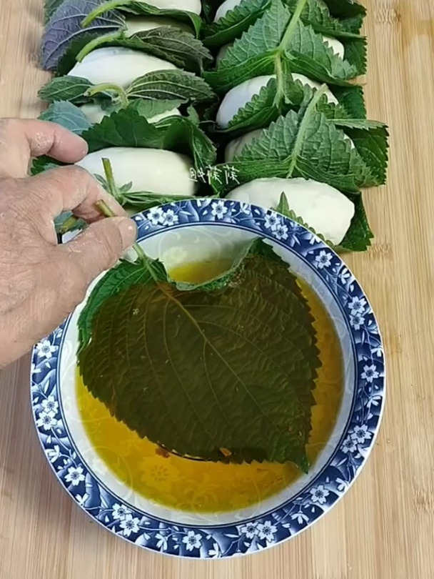 鹏友们今天呢包点树叶饺子