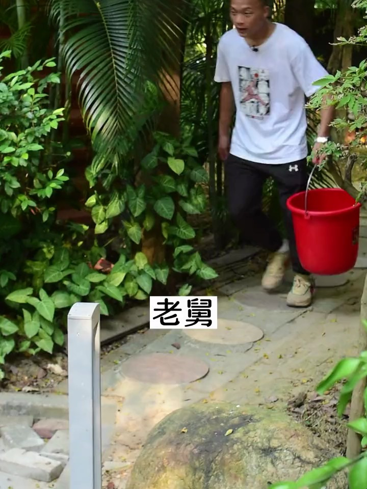 Xo酱葱爆刺豚鱼皮