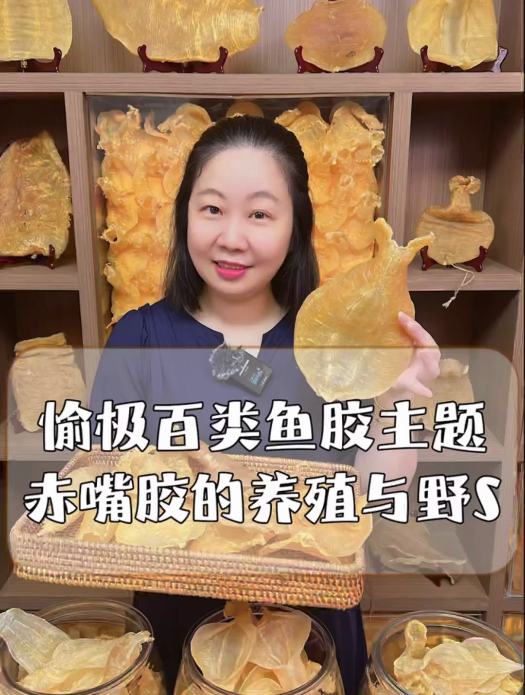 赤嘴胶的养殖与野生