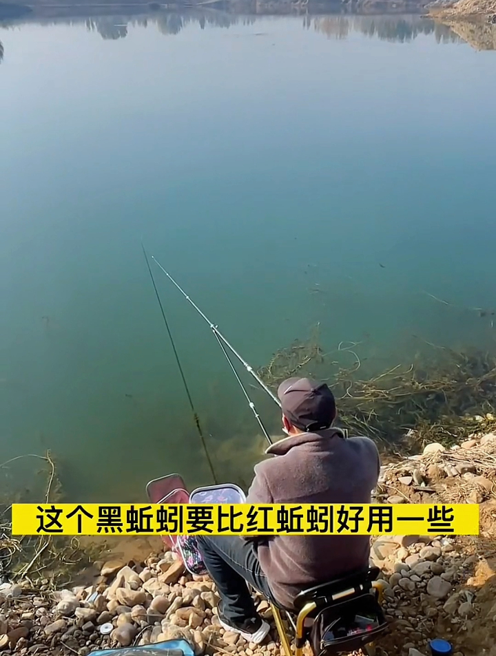 野钓黄辣丁用什么饵?这3种饵料让它无法抗拒,刚下杆鱼口就很猛