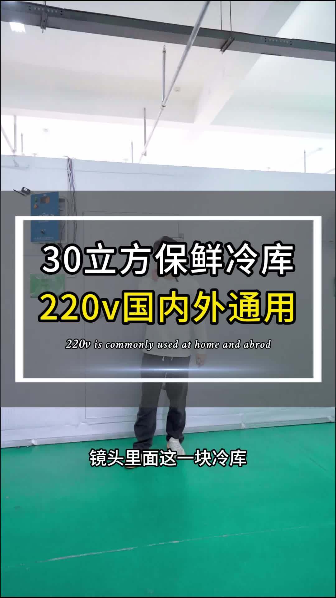 国内外通用的一款30立方保鲜库,蔬菜果蔬饮品都可存放,尺寸可定