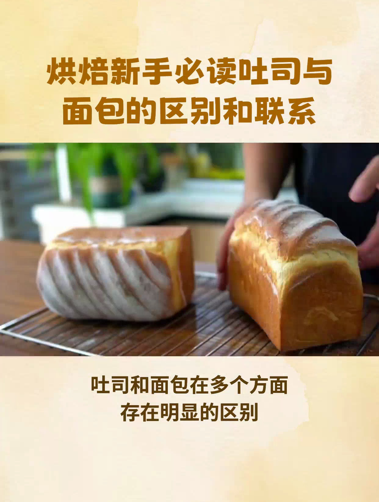 吐司和面包的区别是什么