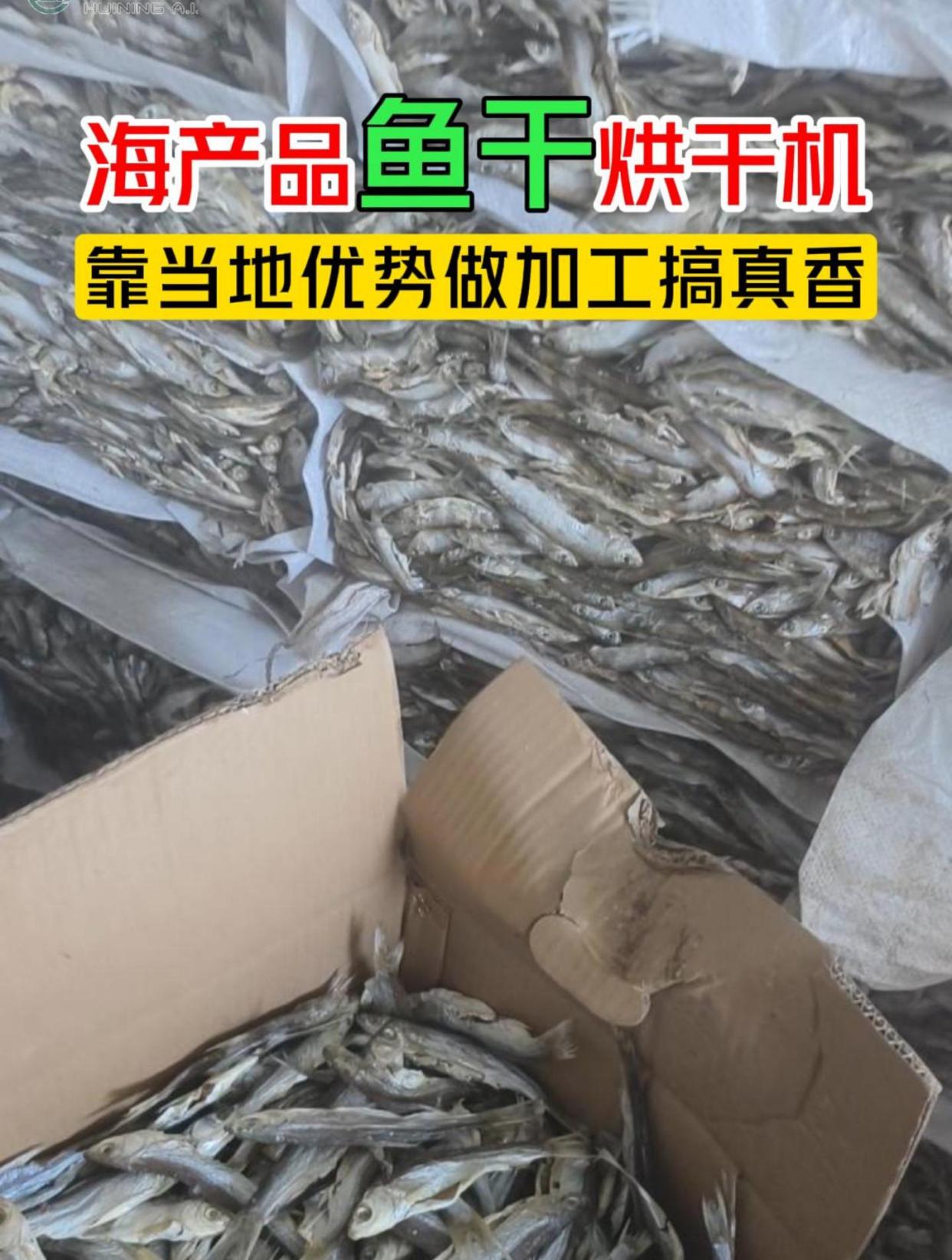 海产品鱼干烘干加工,一天处理三四吨
