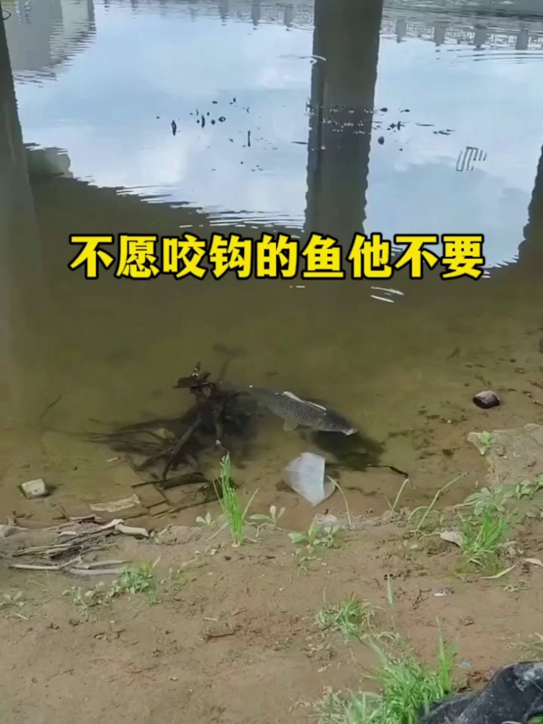 姜太公钓鱼愿者上钩