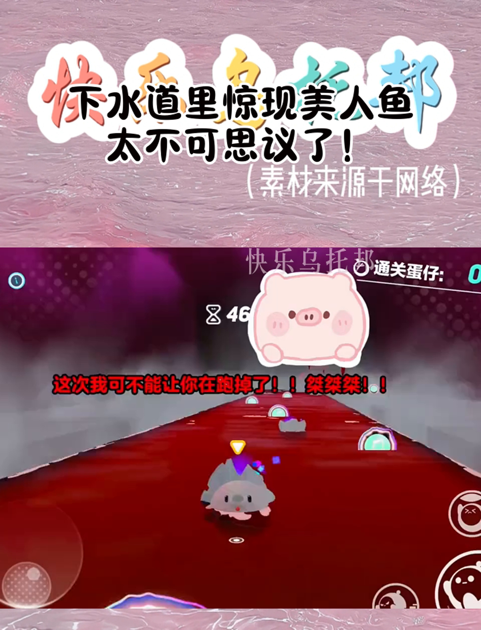 下水道里惊现美人鱼,太不可思议了!