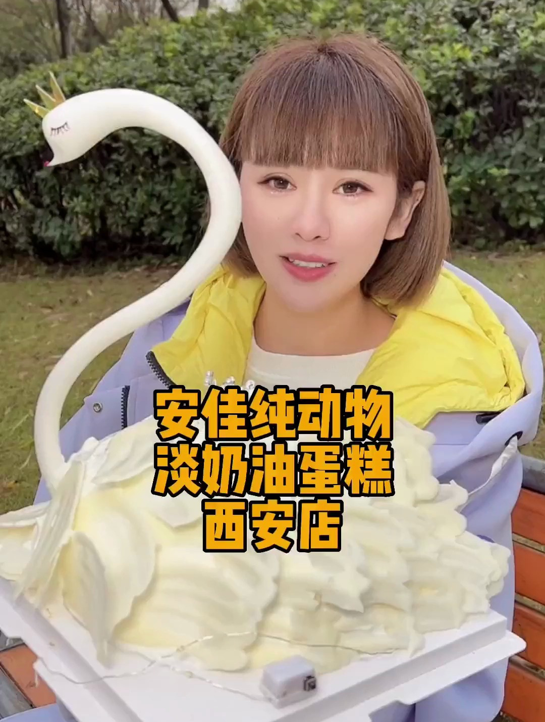 安佳纯动物淡奶油蛋糕