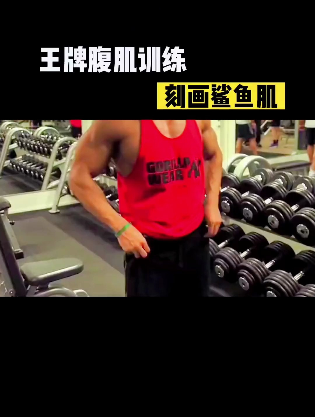 王牌腹肌训练 刻画鲨鱼肌