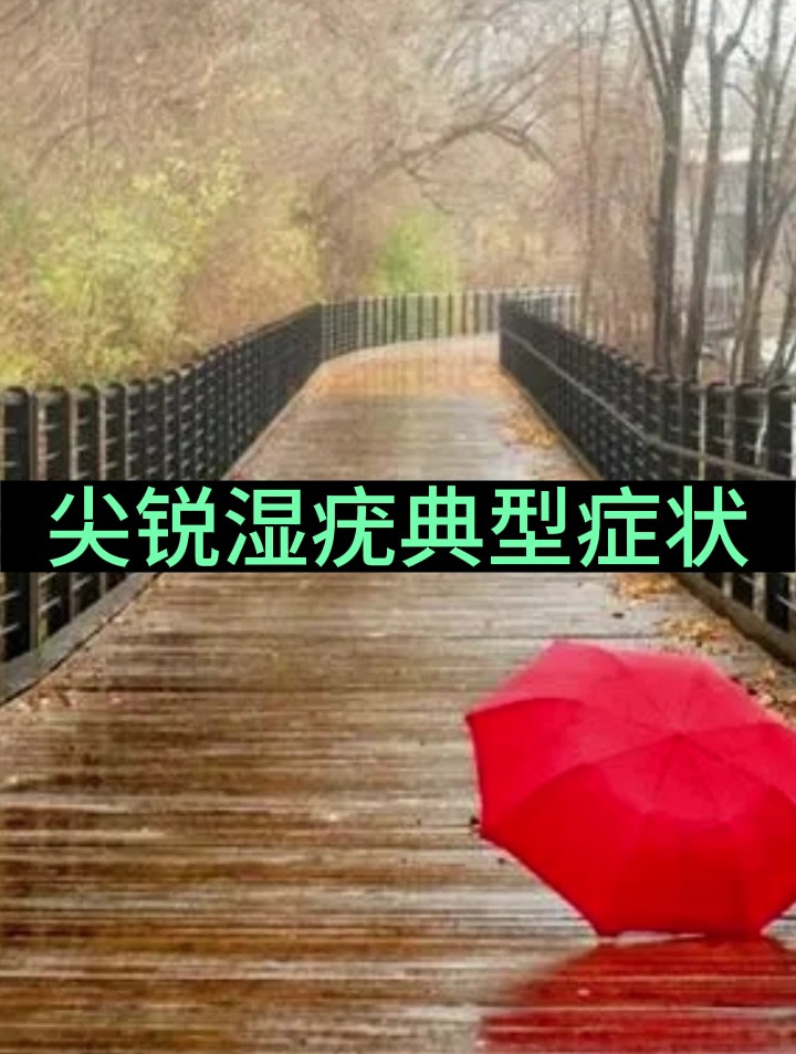 尖锐湿疣典型症状