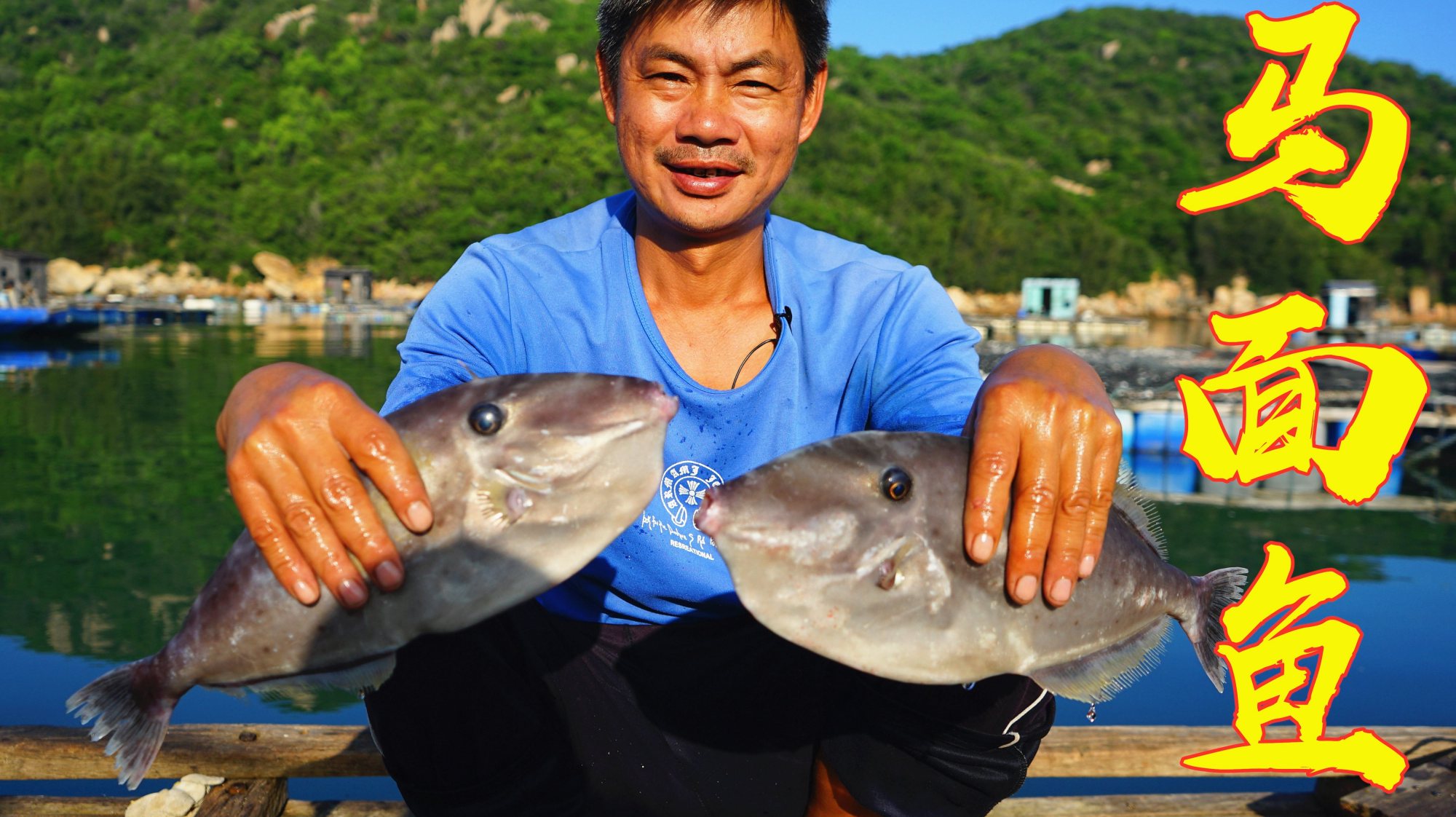 这种鱼长得像马面一样,肉质还特别好吃,阿兴一网就收获好几条