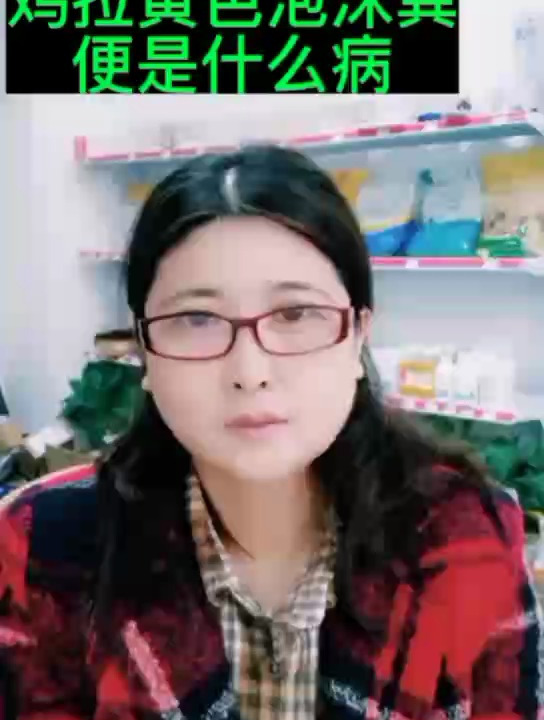 禽医玲兰姐讲鸡拉黄色泡沫粪便是什么病药鸡大肠杆菌症状用什么药