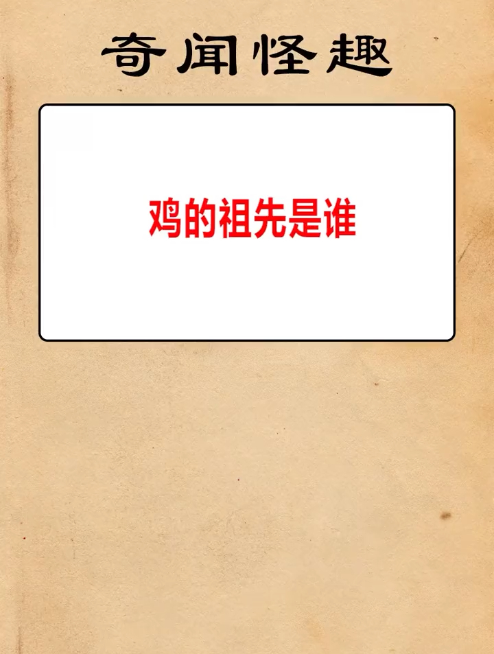 鸡的祖先是谁?你知道吗?