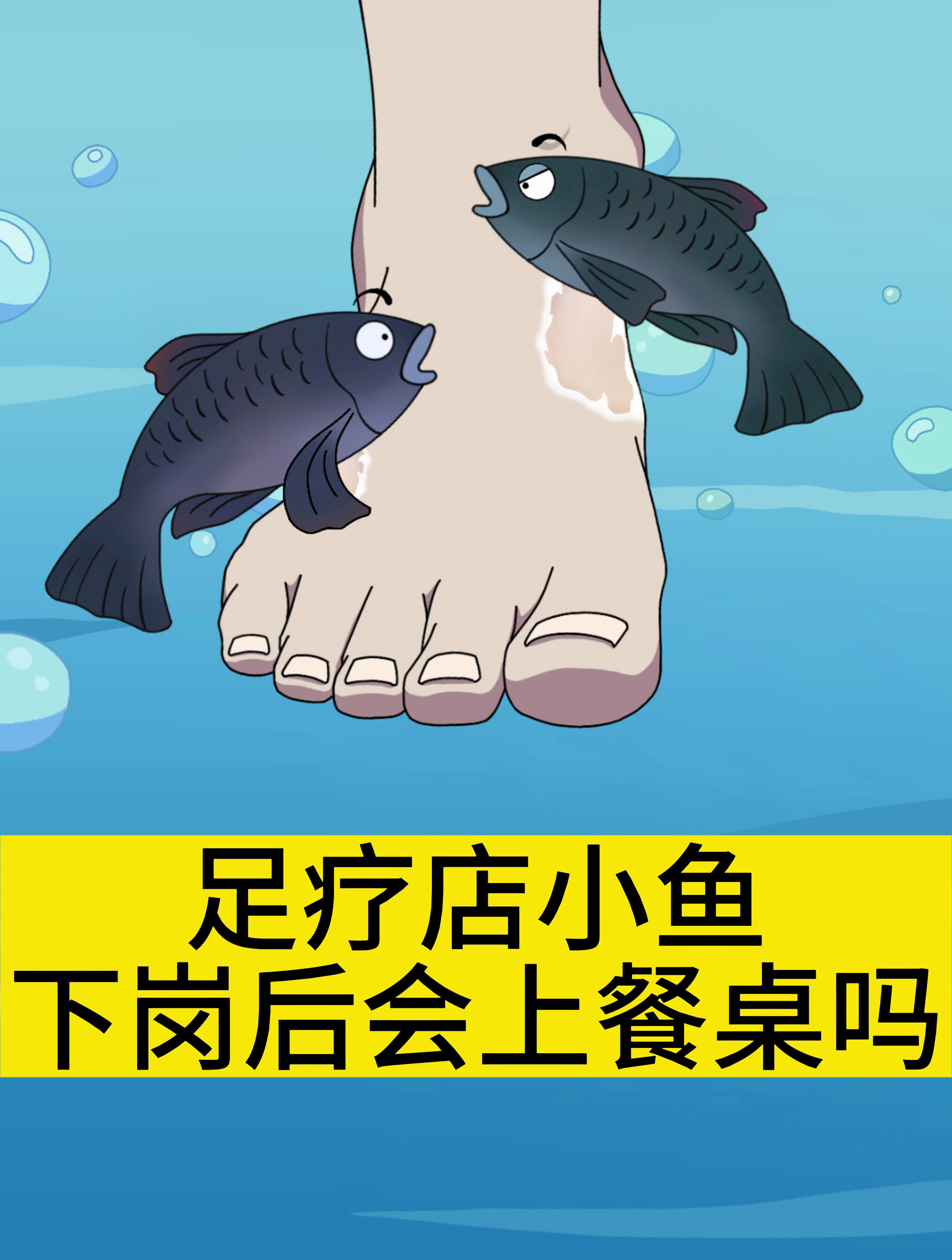 足疗店小鱼下岗后会上餐桌吗