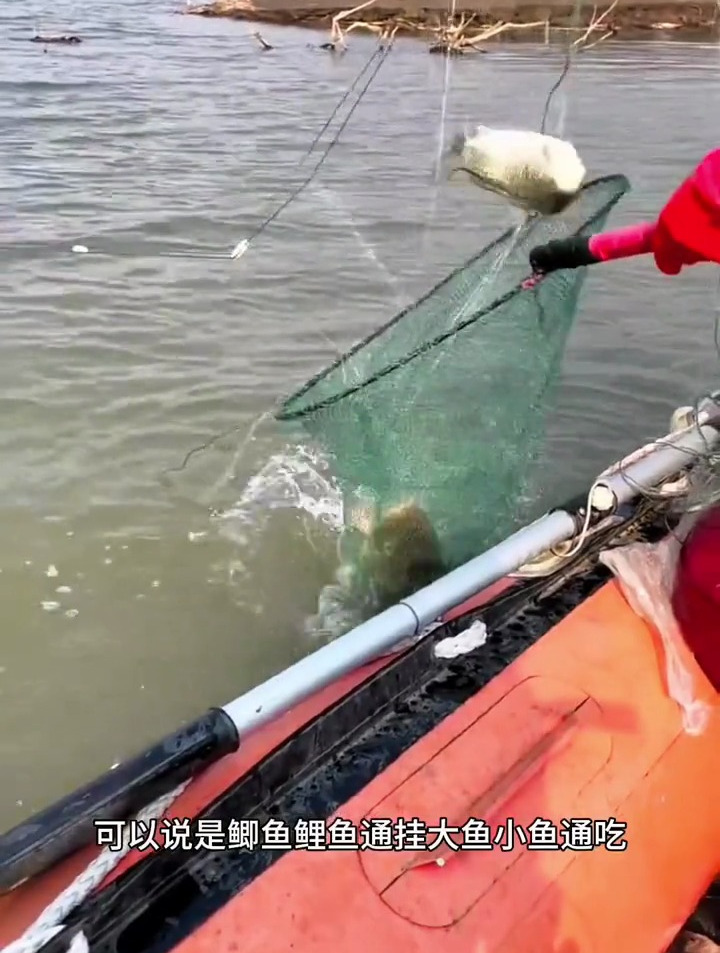 小外套鲫鱼鲤鱼三层渔网 渔网 丝网 户外捕鱼 渔网