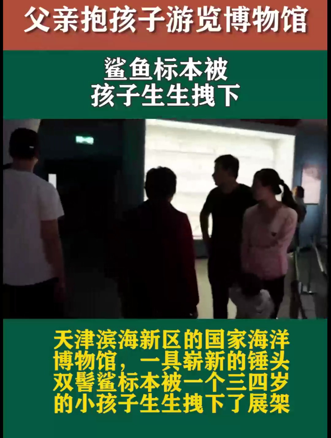 父亲抱着孩子游览博物馆,鲨鱼标本被孩子生生拽下,网友:完蛋了