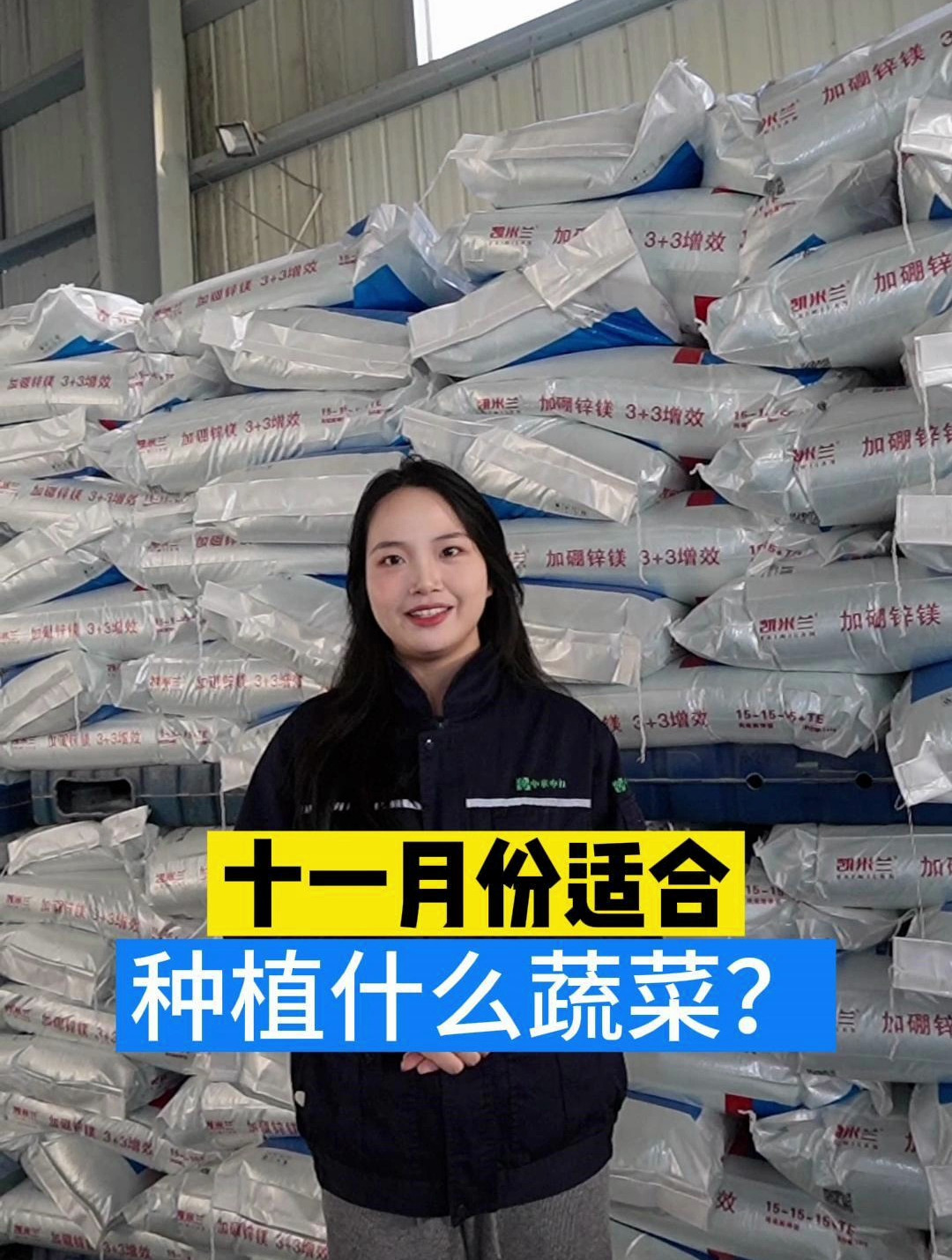 十一月份适合种植什么蔬菜呢,看完这条视频整个冬天都有新鲜菜吃