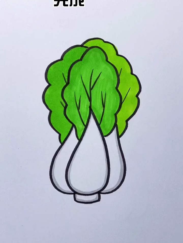 一分钟教你学画画,大白菜这样画秒会,儿童简笔画教程
