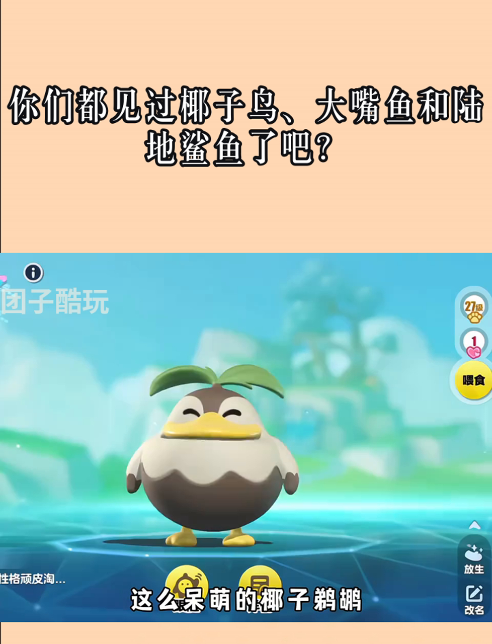 你们都见过椰子鸟、大嘴鱼和陆地鲨鱼了吧?