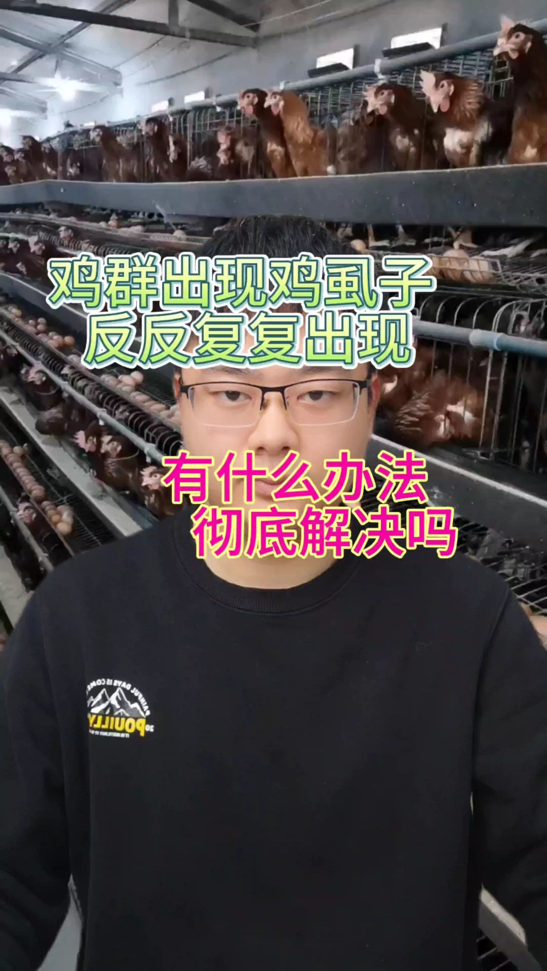 鸡虱子的克星 去虱子最好最快的方法 鸡虱子怎么去除