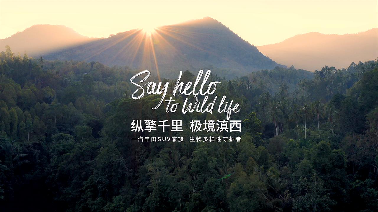 [图]Say hello to wildlife 一汽丰田SUV家族生物多样性守护者