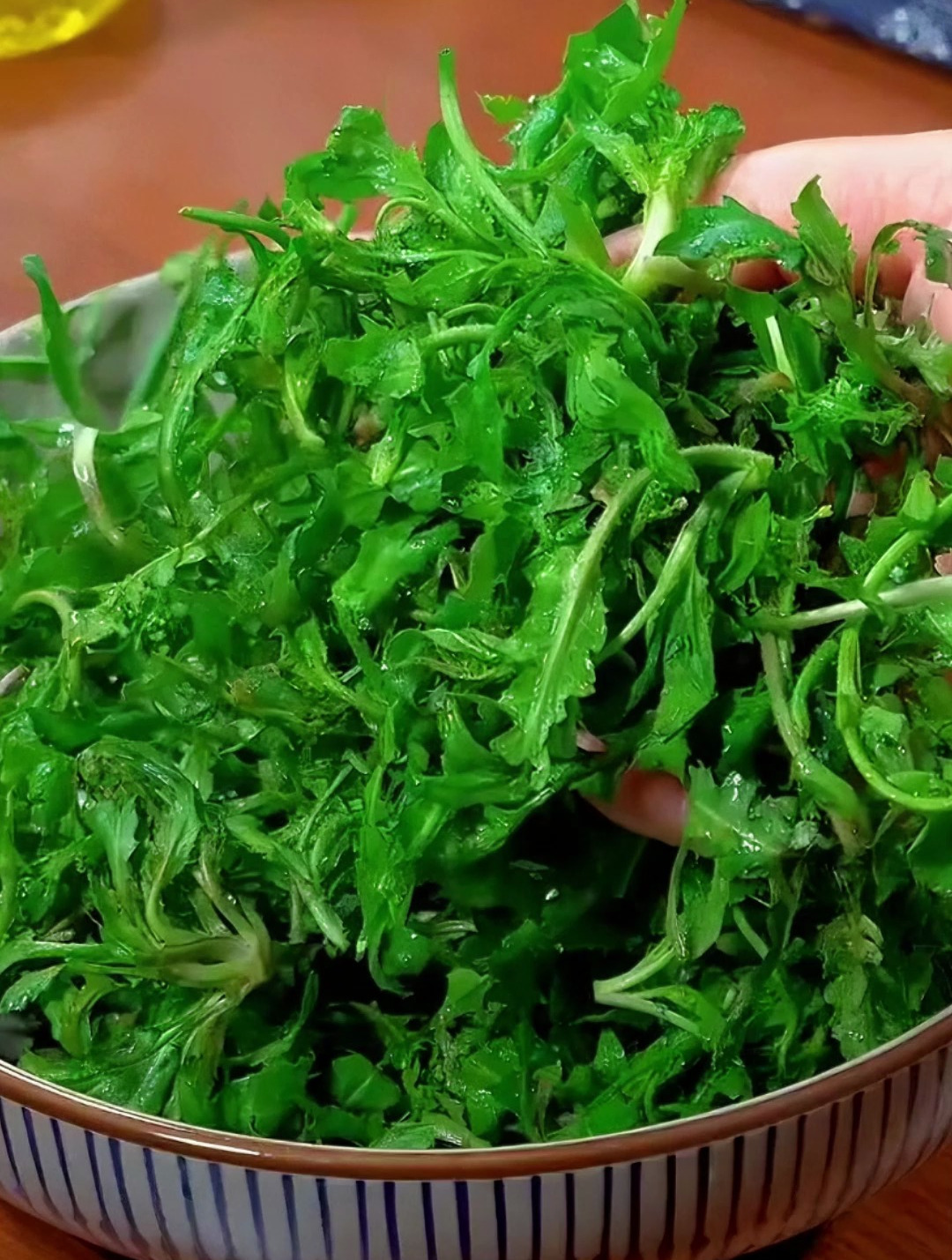 春季野菜最好吃的十二种神仙做法,看看你吃过几种