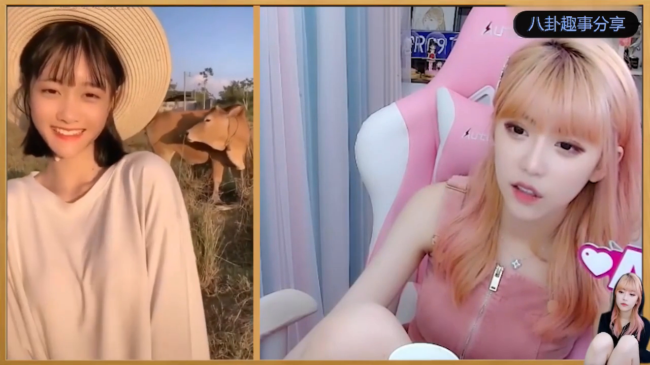 周淑怡看心动女生合集,PDD惊现其中