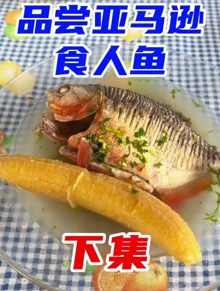 食人鱼是当地主要的食用鱼类 亚马逊雨林 南美洲
