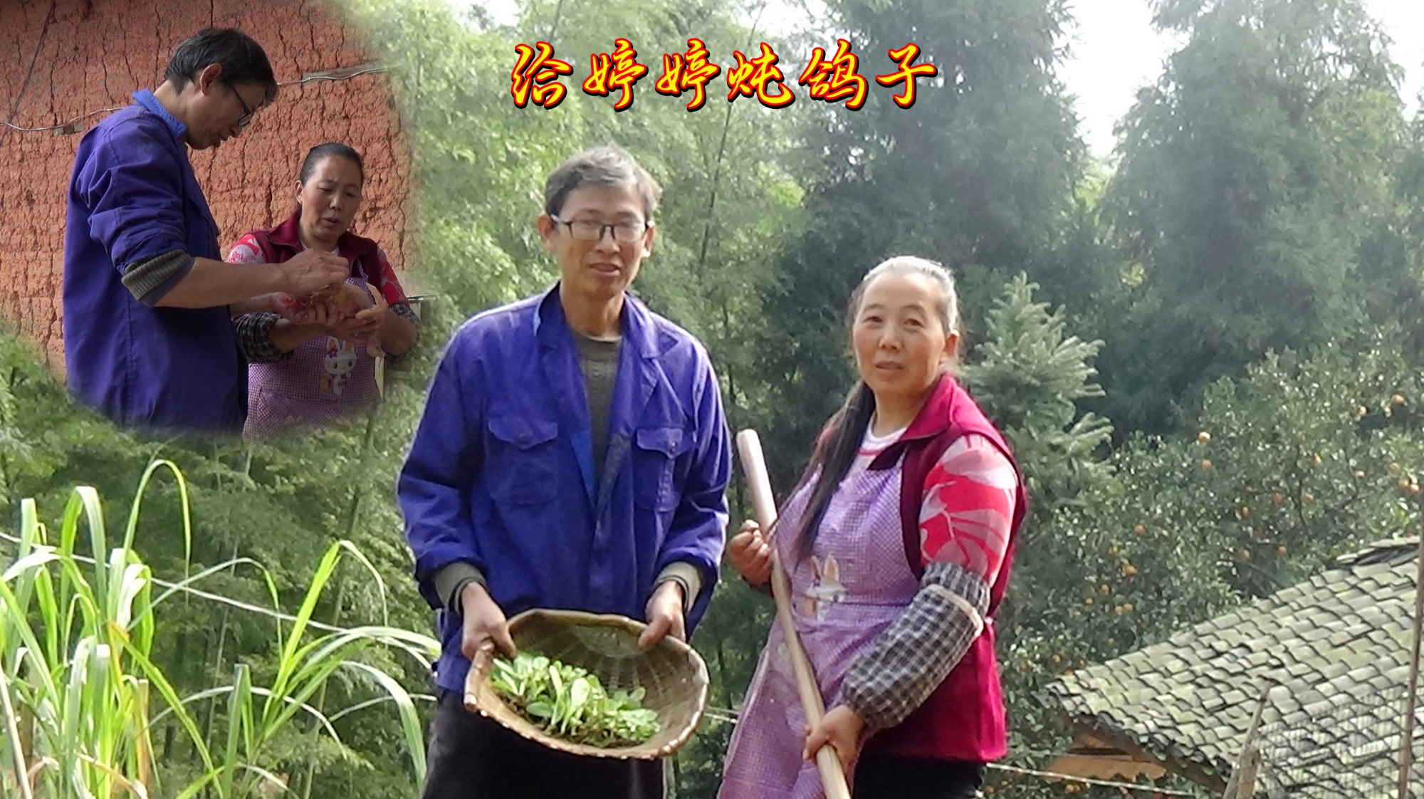 黄小妹和王幺爷:栽完莴笋,回家用薏仁百合大枣煨鸽子给婷婷吃