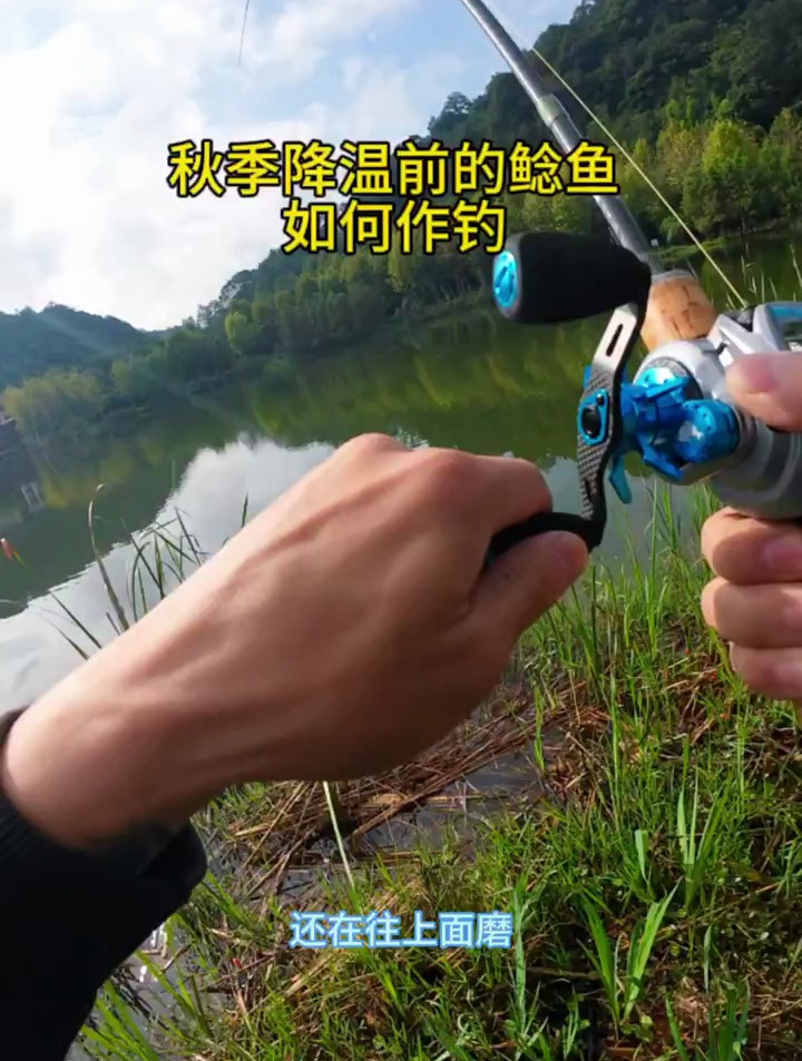 作钓鲶鱼的手法,亮片拖底。真是屡试不爽的神仙钓法