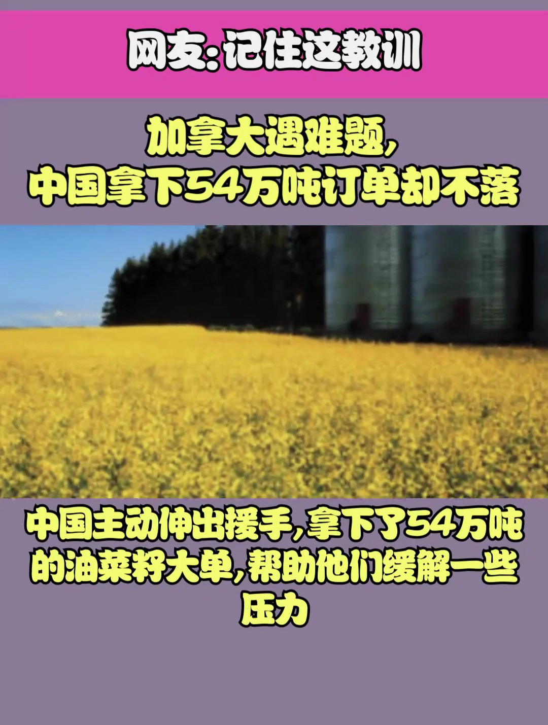 加拿大遇难题,中国拿下54万吨订单却不落好,网友:记住这教训