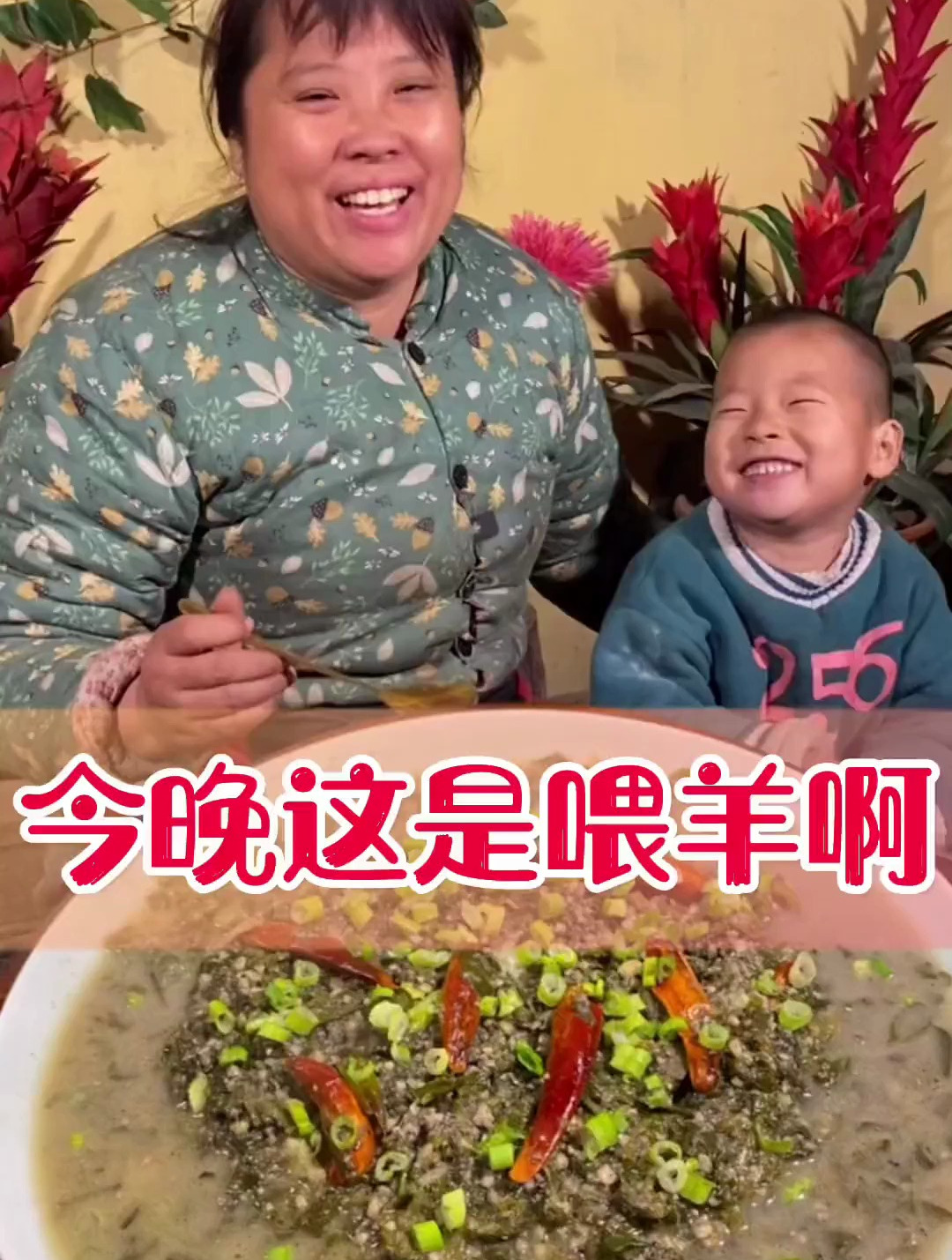做个苦菜渣豆腐 竟然说是喂羊