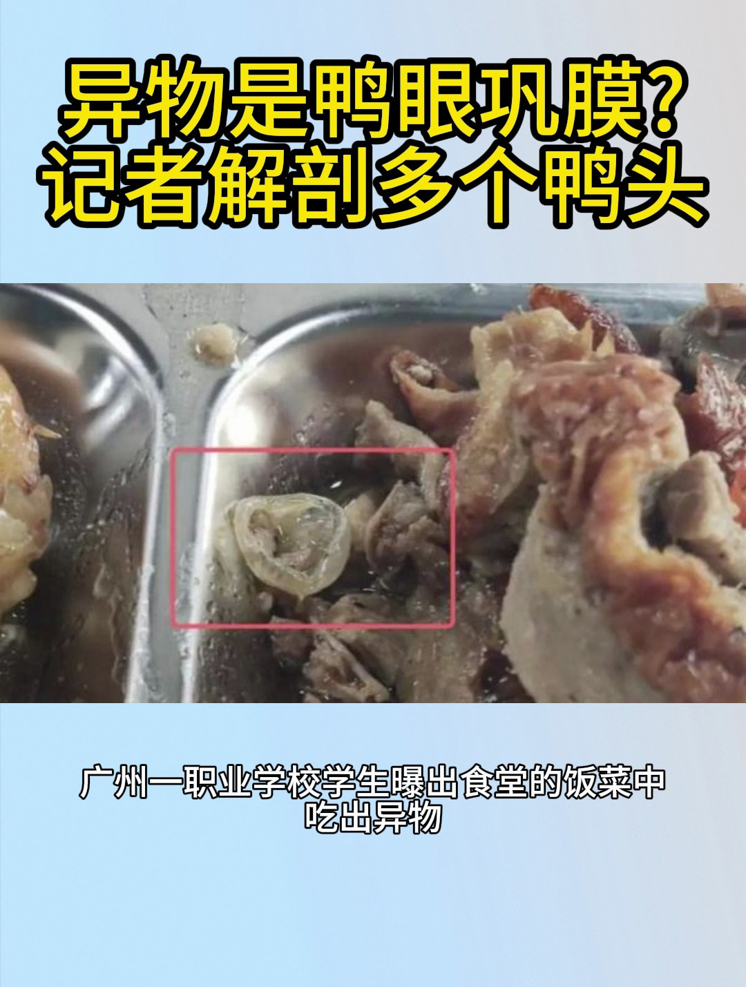异物是鸭眼巩膜记者解剖多个鸭头
