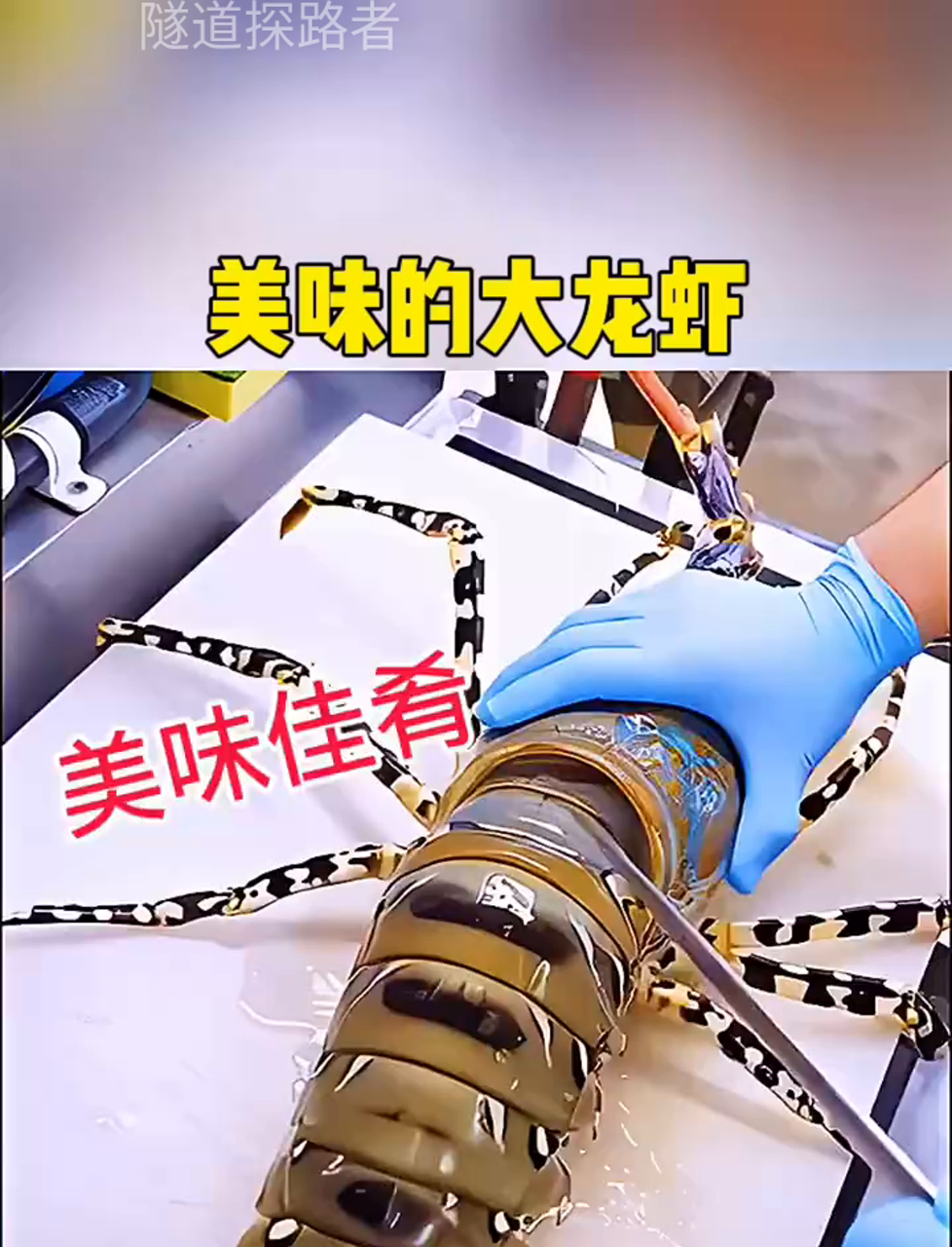 超级好吃的大龙虾,尝一口就停不下来!
