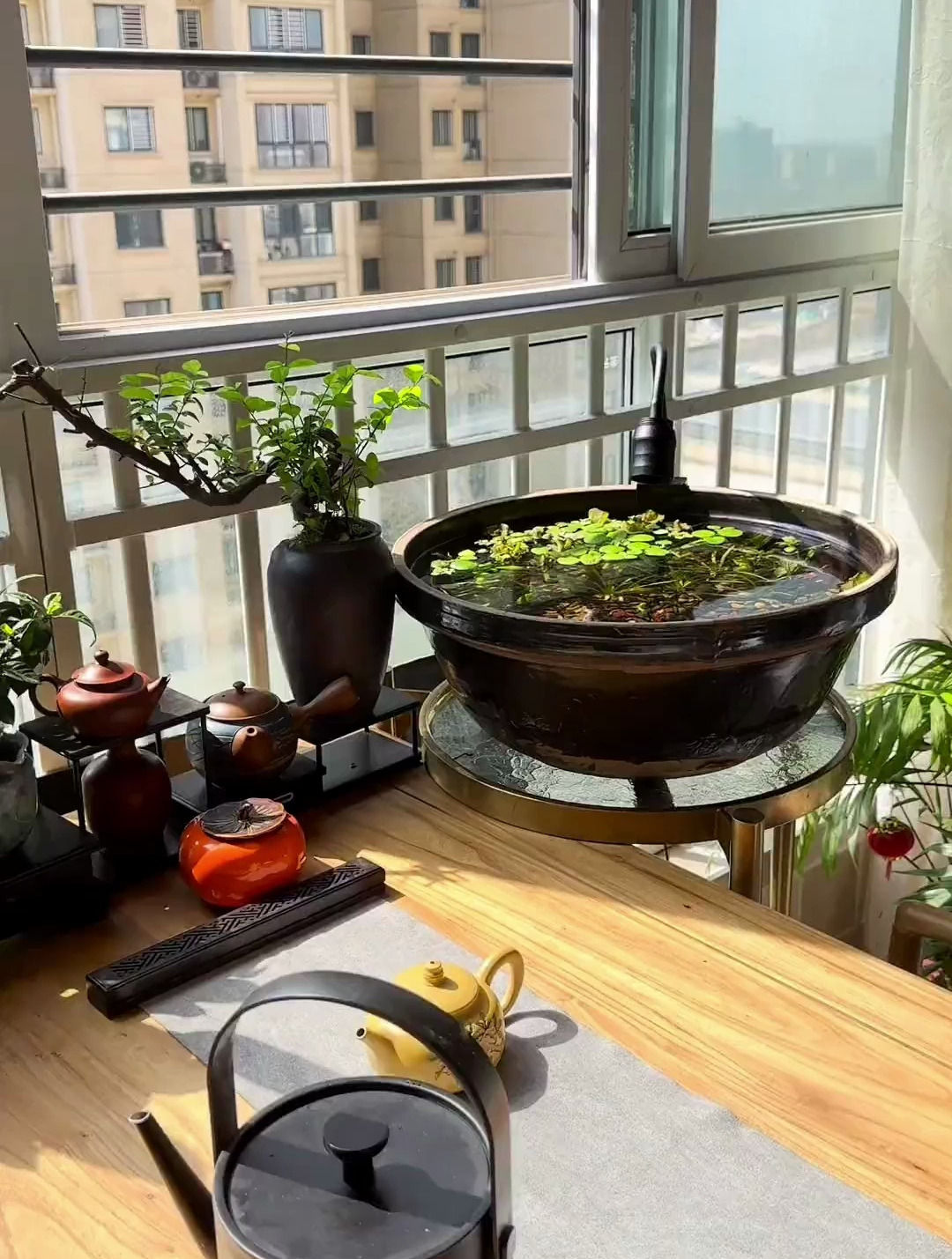 你们喜欢绿色的蝶翼斑马鱼吗?让它们飞起来看看!