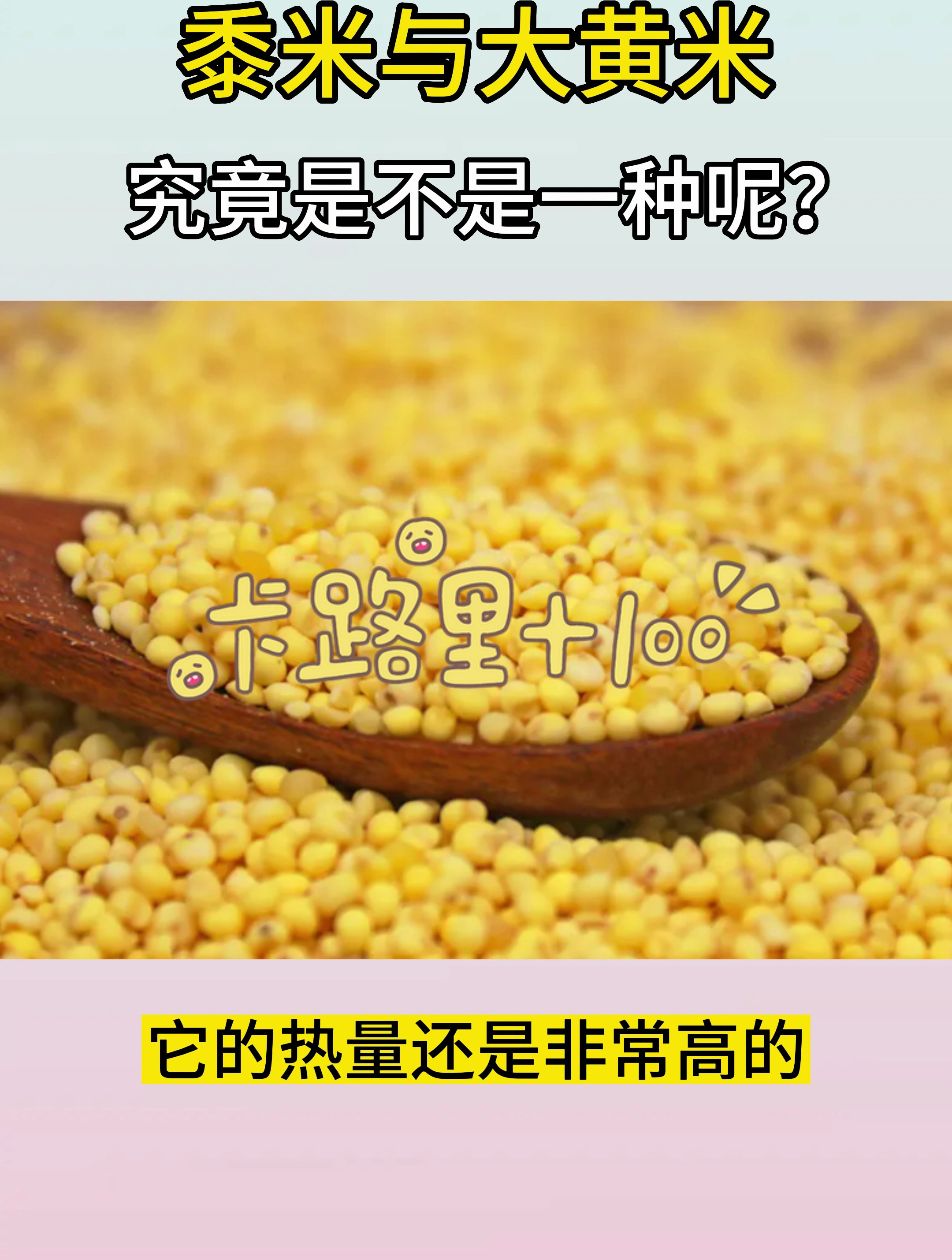 黍米与大黄米究竟是不是一种呢?