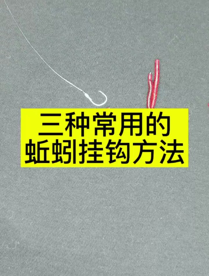 三种常用的蚯蚓挂钩钓鱼方法,新手必学