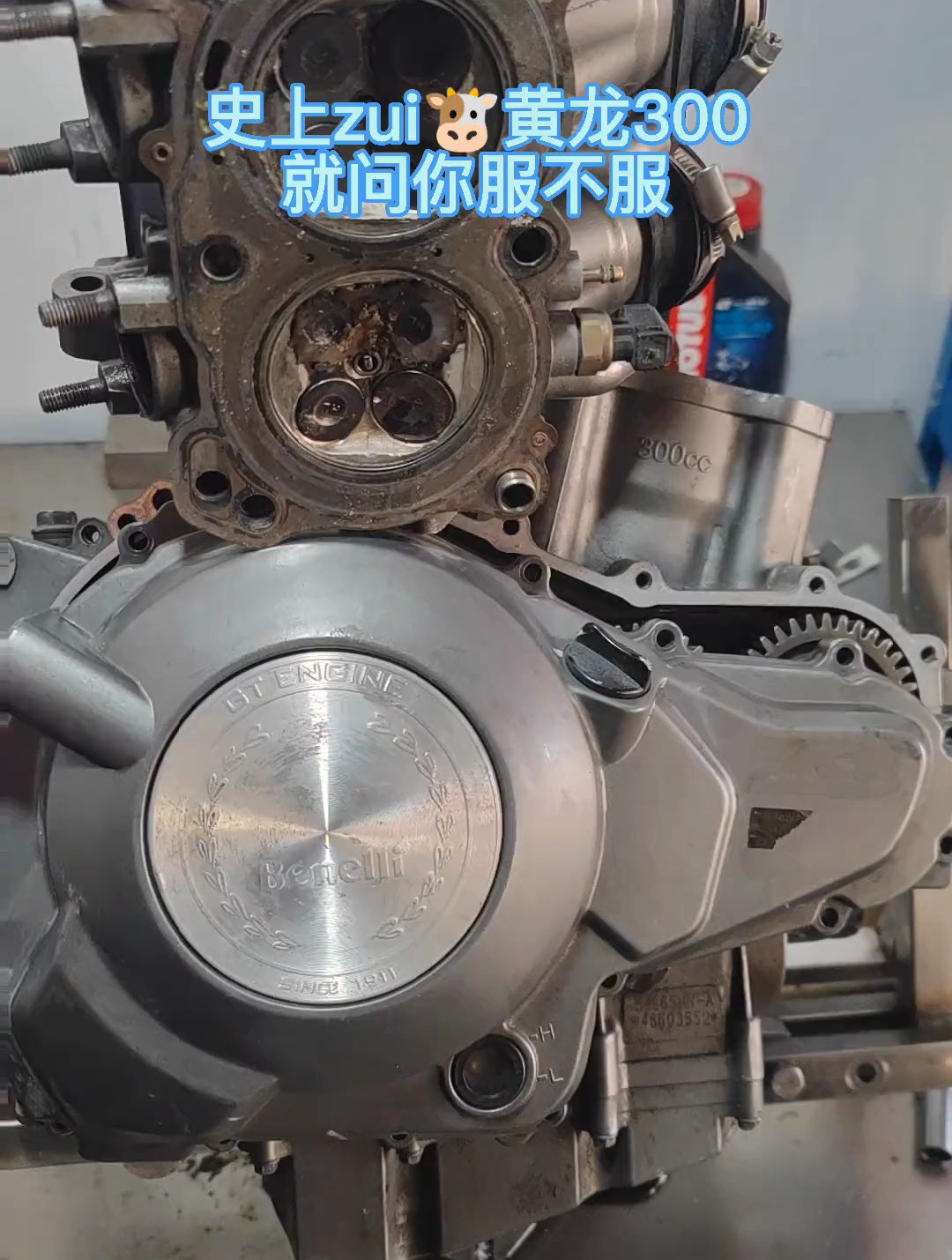 就这黄龙300,谁敢不服!