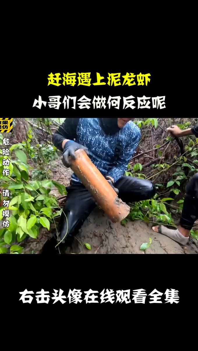纪录片:大闸蟹VS泥龙虾,小帅一行人会如何抉择呢