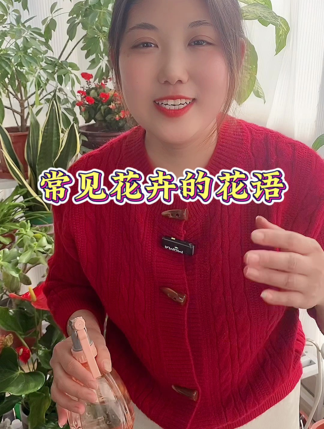 常见花卉的花语