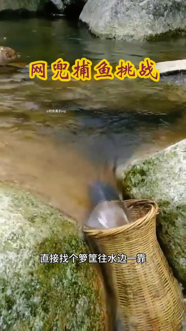 不可思议的网兜捕鱼挑战:找个箩筐往水边一靠,接下来坐等上鱼!