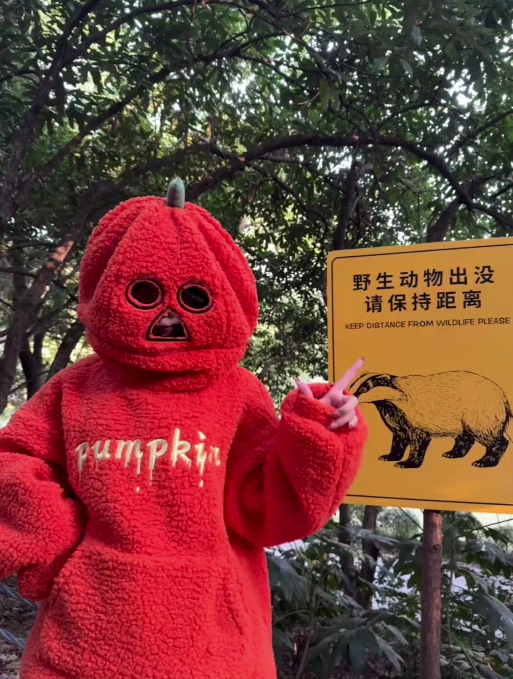 今天是南瓜瓜万圣节在红山动物园过