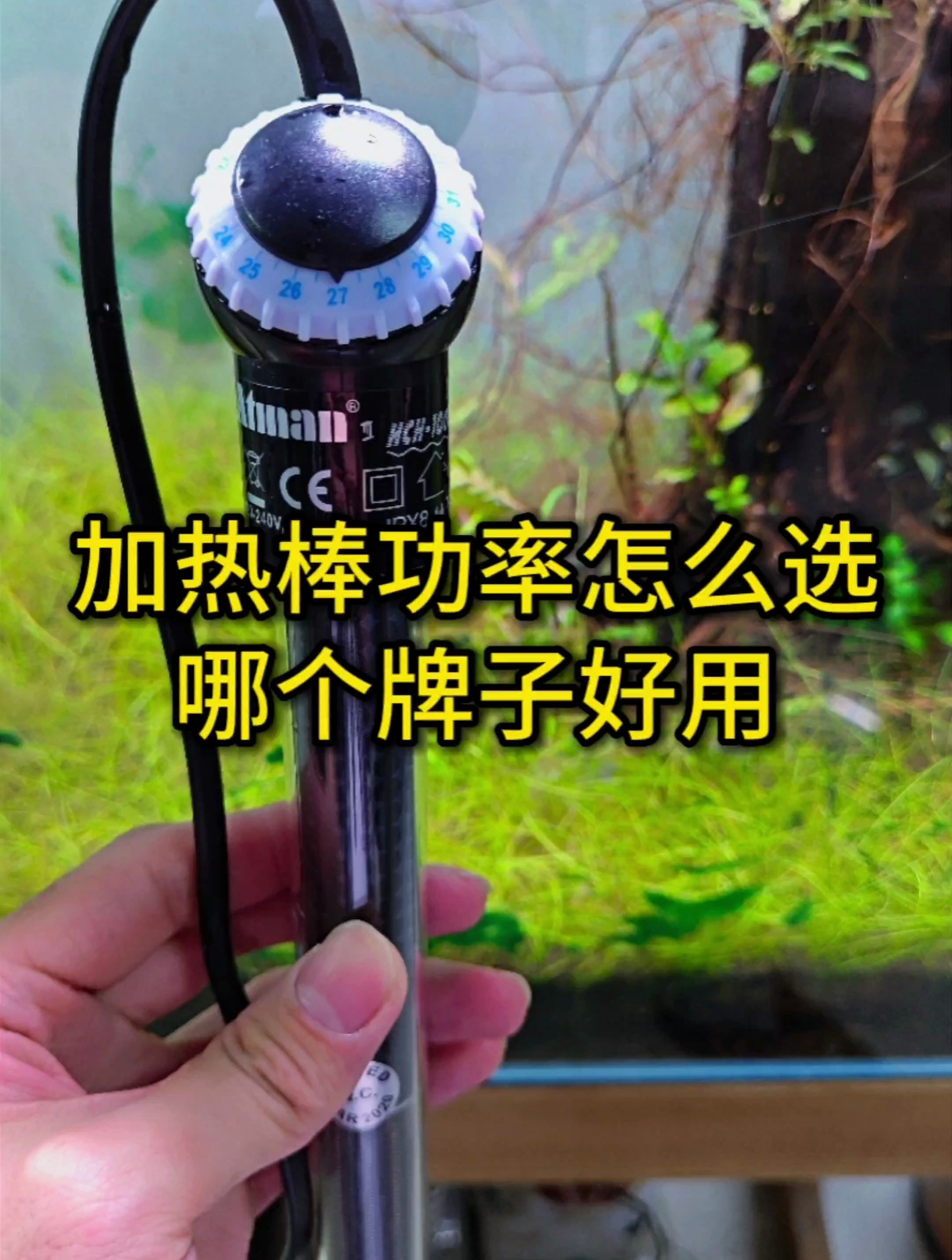 鱼缸加热棒瓦数怎么选?哪个牌子质量好