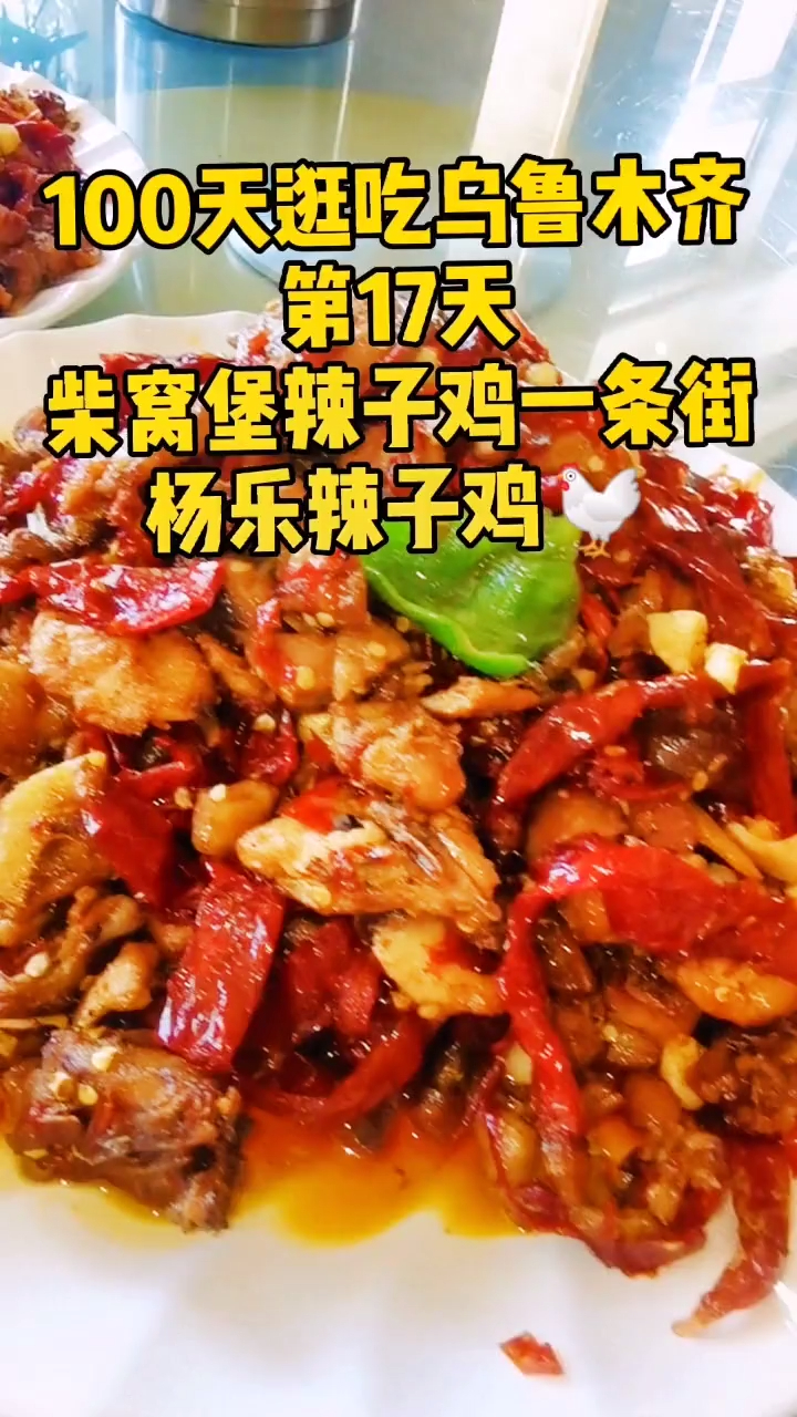 100天逛吃乌鲁木齐第17天柴窝堡辣子鸡