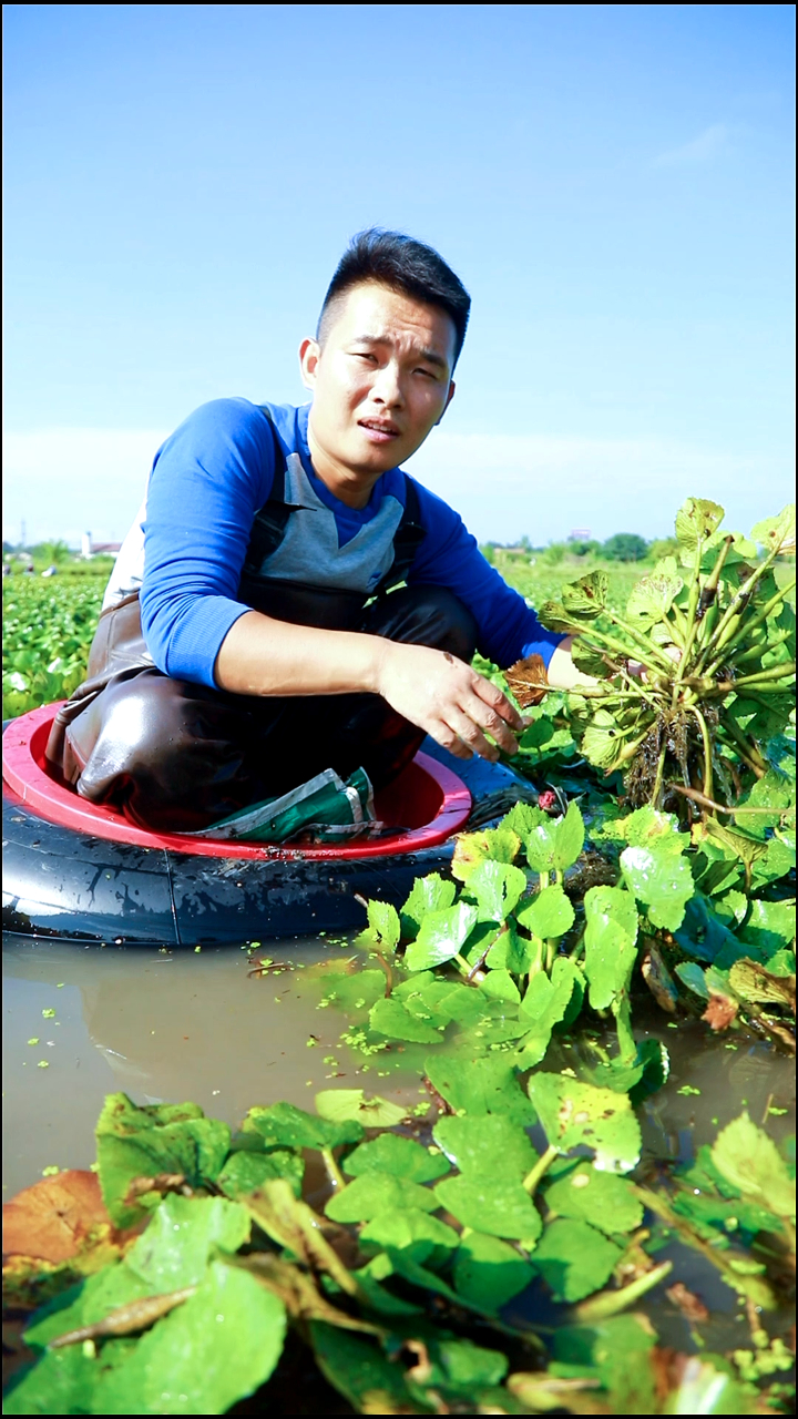 菱角是现在最应季的水生蔬果