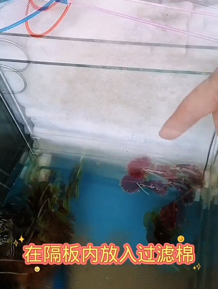 给龟打造一个强大的龟缸侧滤系统,希望能对大家有帮助,养龟必看